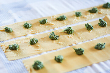 ricotta and spinach mixture for homemade ravioli,close up