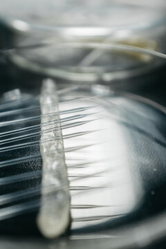 micro injection research