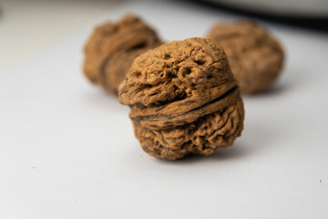 cookies with chocolate