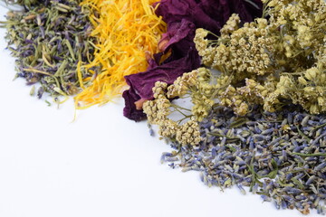 Dried herbal flowers and petals on white background: hyssop, calendula, peony, yarrow, lavender, space for text