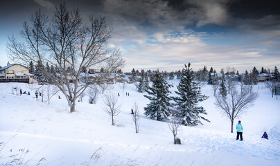 Fototapeta premium Calgary Alberta Canada, February 01 2021: Families riding sleds outdoors at a tobogganing hill in Scenic Acres Park during the winter.