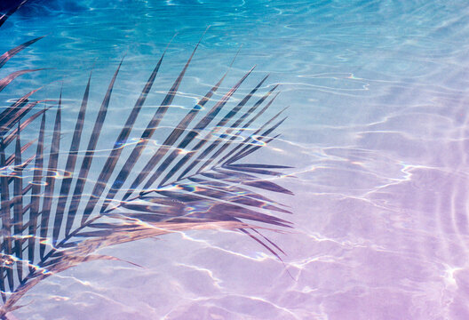 Surreal palm leaf underwater
