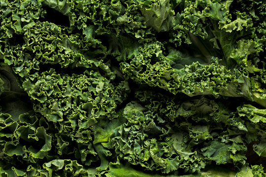 Fresh Organic Kale, macro