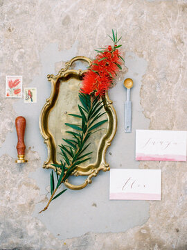 Composition of flowers and envelopes