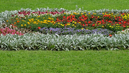 Big wide flowerbed with various flowers among green grass