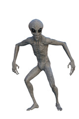 Grey Alien looking alert. 3D render isolated on white.