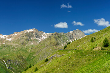 Fototapeta premium Passo Gavia, mountain pass in Lombardy, Italy, to Val Camonica at summer