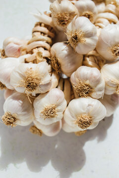 Raw organic wreath of garlic