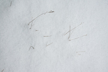 Real snow texture [bump map]