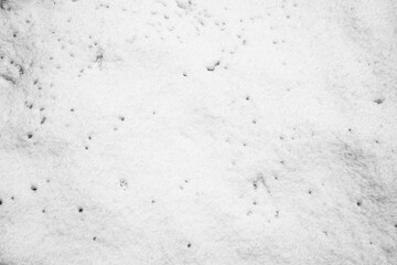 Real snow texture [bump map]