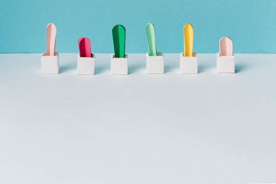 Colorful cacti in a row in white rectangular vase