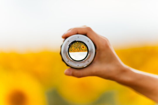 Caucasian woman enjoying summer time at sunflowers field