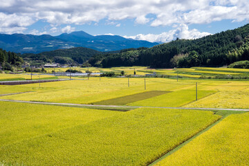Obraz premium 霧島連山をバックに秋の田園地帯