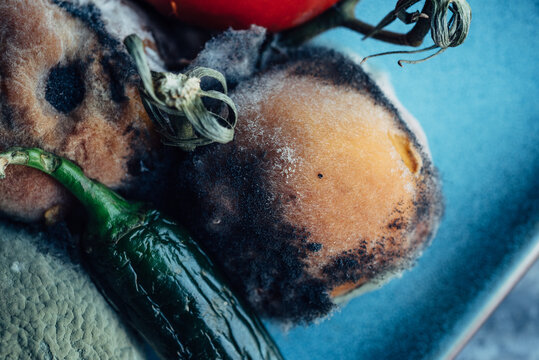 Rotten fruit detail