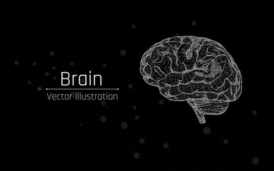 brain, artificial intelligence concept, neurological research, impartiality, thoughts, brainstorming idea. 3D low poly, vector illustration. plexus