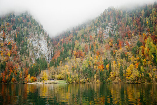 Autumnal trees on shore of lake