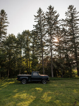 A vintage pickup truck parked along a treeline at sunset