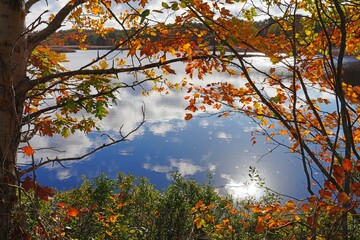 View of colorful autumn foliage by the water at the Scarborough Beach State Park near Portland, Maine, United States