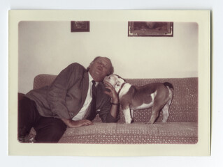 A senior man playing with a pet English bulldog on a sofa