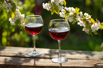 Wine Tasting Party in spring in the garden