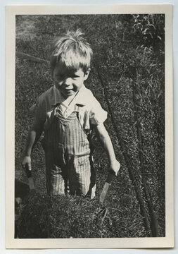 A young boy wearing overalls and working in the garden with a wh