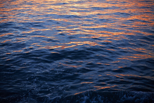 Sea ripple close-up, sunset time. Red and blue confluence of the sea