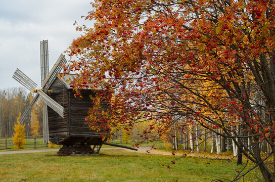 Windmill in Autumn forest