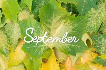 September