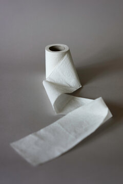 Toilet paper roll