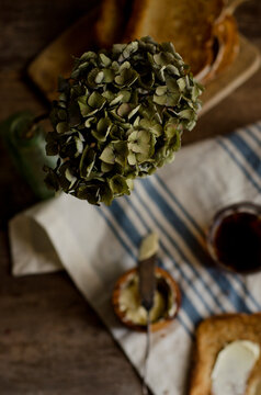 hydrangea and toast