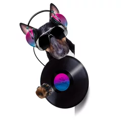 Rolgordijnen Grappige hond dj disco dansen muziek hond
