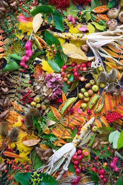 Autumn still life with garden fruits