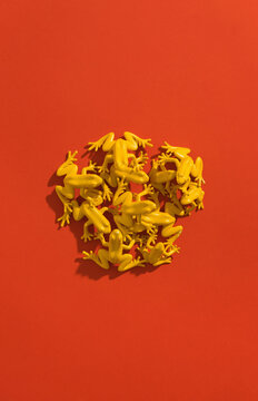 Yellow frogs on red background.
