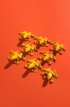 Yellow frogs on red background.