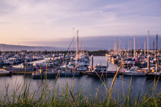 Sunset at marina with boats docked on water in Alaska with grass in foreground focus