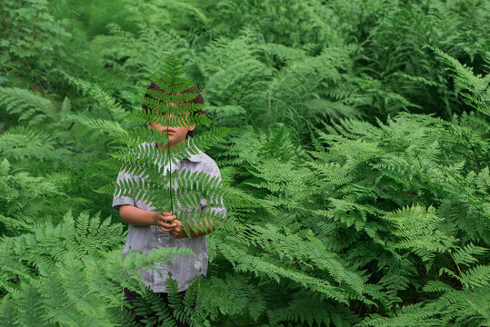 young child surrounded by ferns