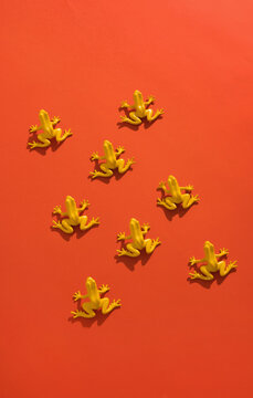 Yellow frogs on red background.