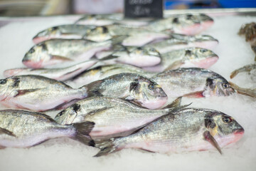 Fresh Sea bream fish on a bed of crushed ice,displayed at Kotor farmer's market,Kotor,Montenegro.