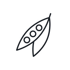 Peas icon. Vector linear icon, contour, shape, outline isolated on a white background. Thin line. Modern minimalistic design. Vegetables