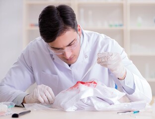 Expert criminologist working in the lab for evidence