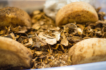 Regional cheeses preserved in dried mushroom flakes on display at Kotor market,Bay of Kotor,Montenegro.