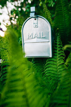 Mail Box