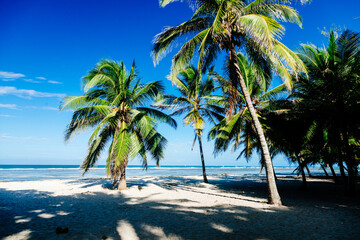 Idyllic Tropical Beach