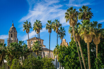 View on Malaga in Andalucia (Spain) from the Alcazaba mirador. We cann the cathedral, the palm trees and the historic center