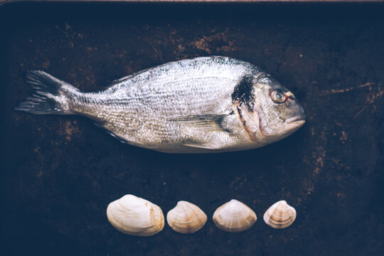 Sea Bream and clams