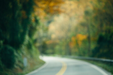 blurred view of road lined with autumn trees
