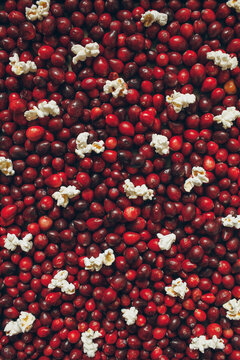 cranberries and popcorn ready to be strung