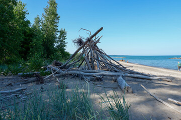 driftwood structure