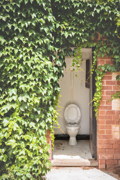 External Toilet With Pretty Green Vine