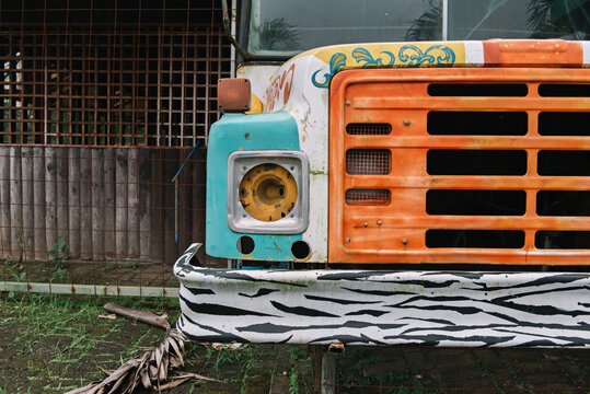 Painted old school bus